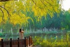 皇家帕里足球比分-皇家帕里，从比分波动中窥见南美足球的激情与韧性